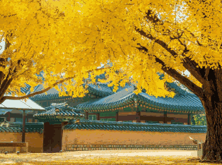 韩国外贸数据,外贸数据,PA真人视讯外贸数据