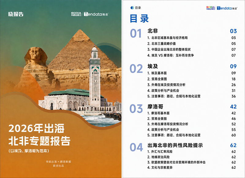 北非市场,出口非洲,埃及市场